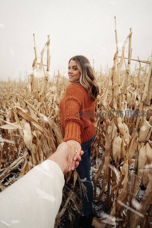 雪中牵手漫步玉米田，冬日温情写真