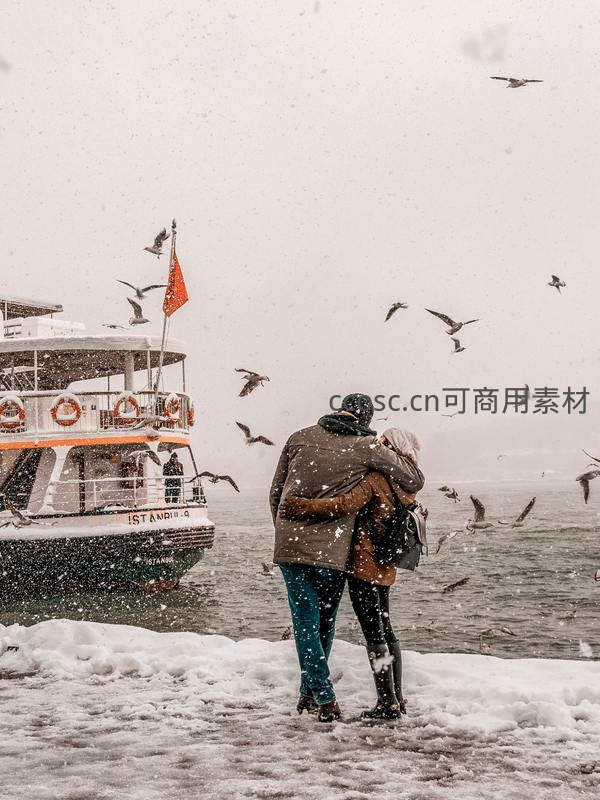 雪中拥吻，海鸥飞舞的浪漫瞬间
