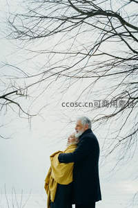 雪中相拥的永恒之爱