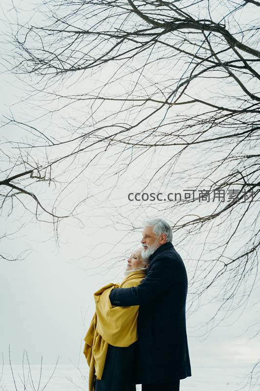 雪中相拥的永恒之爱