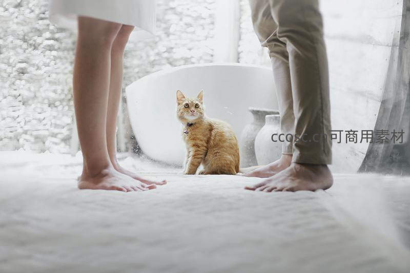 猫咪见证的卧室温馨时刻