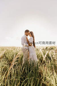 芦苇丛中深情相望，阳光下的温柔爱意