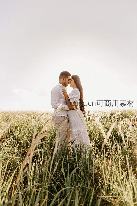 芦苇丛中深情相望，阳光下的温柔爱意