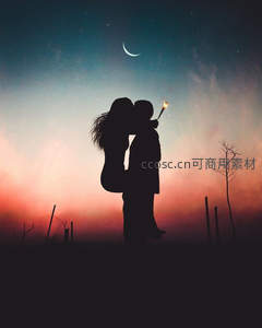 月下拥吻，烟花点亮浪漫夜空