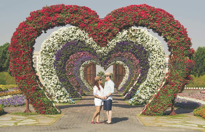 花海心形拱门下情侣深情相拥