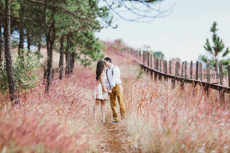 粉黛草丛中的浪漫亲吻