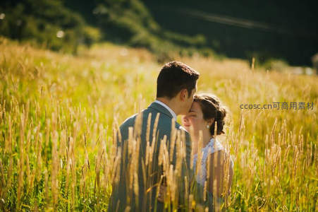 金色麦田里的温柔一吻