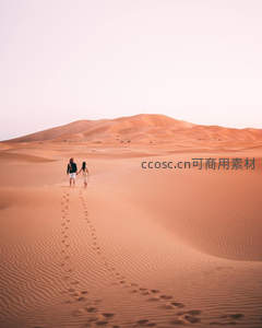 沙漠中牵手漫步的浪漫情侣背影
