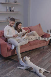 沙发上的悠闲午后