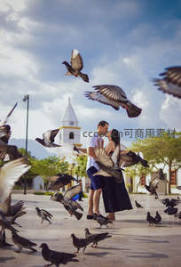 广场鸽群环绕情侣亲吻的浪漫瞬间