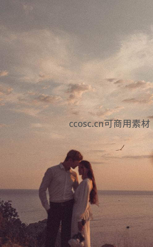 夕阳海岸边相依，海天一色见证永恒之爱