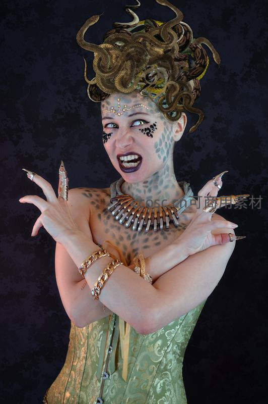 蛇发女妖造型夸张，眼神凌厉表情凶狠