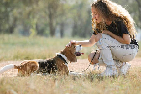 草地上女孩温柔抚摸比格犬
