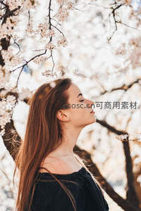 樱花树下闭目享受春日暖阳