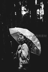 雨林中撑透明伞仰望天空的少女