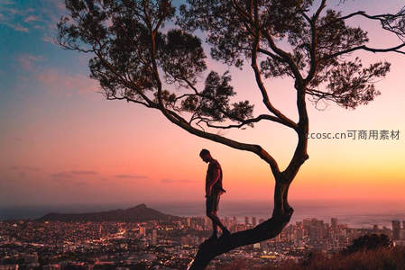 夕阳树影下漫步，城市剪影尽收眼底
