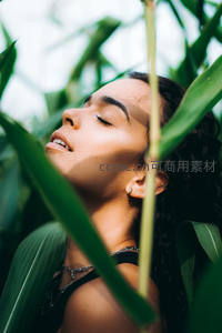 绿叶丛中仰望的惬意时光