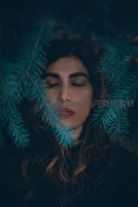 松枝掩映下的神秘面容，幽蓝光影如梦似幻