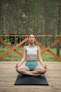 森林木台上的冥想时刻