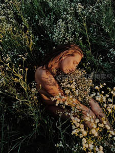 花海中的宁静时刻