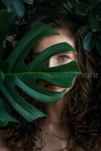 绿叶掩映下的神秘蓝眸