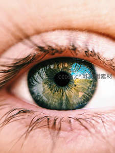 虹膜中的风景倒影