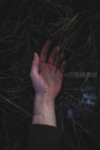 草丛中的手，静谧而孤独