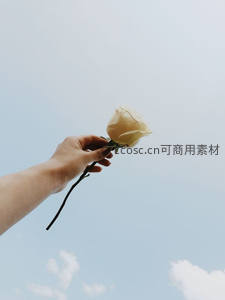 手捧白玫瑰仰望蓝天白云
