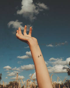 麦田里伸向云朵的手臂