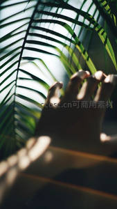 指尖轻触绿叶，光影斑驳