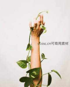 手与绿植缠绕的静谧瞬间