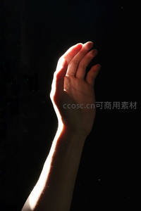 光与手的静谧对话