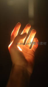 被光穿透的手掌