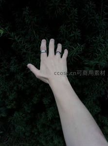 手抚绿植，指环点缀自然之美