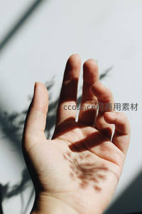 阳光穿透指缝，树影斑驳手心