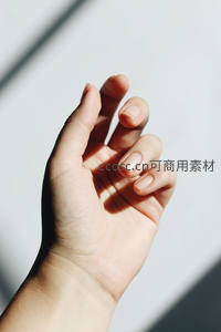 光影下的纤细手指，展现自然之美与宁静