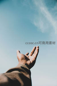 向上伸展的手掌，迎接蔚蓝天空