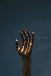 逆光中高举的手，剪影般轮廓清晰