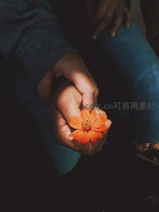 掌心托举橙色小花，温柔守护自然之美