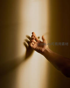 掌心向光，温柔捕捉光影的瞬间