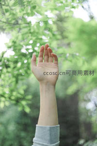 绿意盎然中向上伸展的希望之手