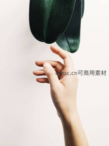 指尖轻触绿植叶片的瞬间