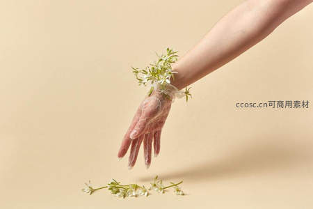 蕾丝手套点缀白色小花