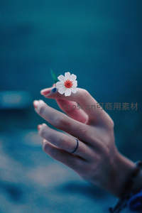 轻握小花展现温柔与自然之美