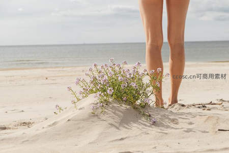 沙滩上的紫色小花与漫步的双腿