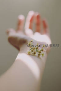 掌心轻托洁白小花，温柔如春日晨光