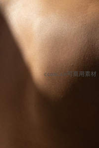 光影交错下的背部肌肤特写，呈现自然纹理与温暖色调