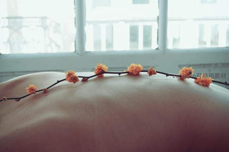 花枝轻覆柔美背脊，窗影斑驳