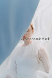 白纱轻掩新娘梦幻瞬间