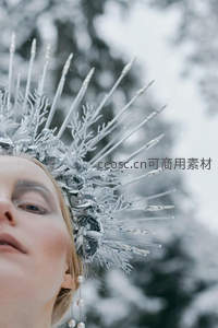 雪中银冠，如梦似幻的冬日精灵